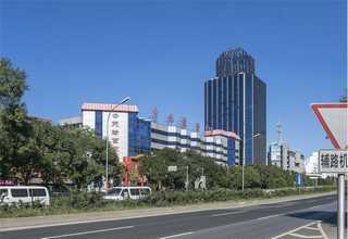 虹口区办公室花卉绿植租赁服务